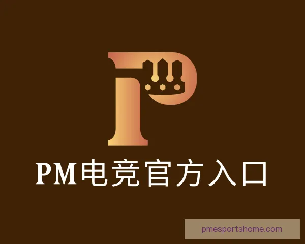 关于PM电竞官方入口
